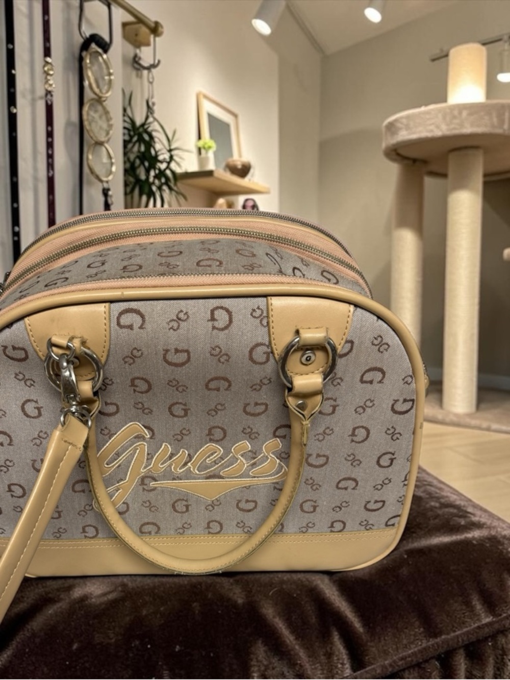 GUESS -unique original pet carrier